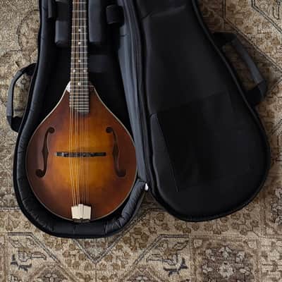 Eastman MD305 Adirondack Wide Neck In Amberburst, W/ Gig Bag & Free Pro Setup image 15
