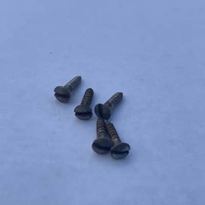 Fender Esquire Pickguard Screws 1951 image 4