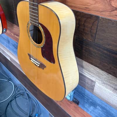 Washburn D48 SW Acoustic image 5