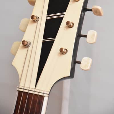 Fasan Antoria – 1960s German Vintage Archtop Jazz Guitar / Gitarre image 9