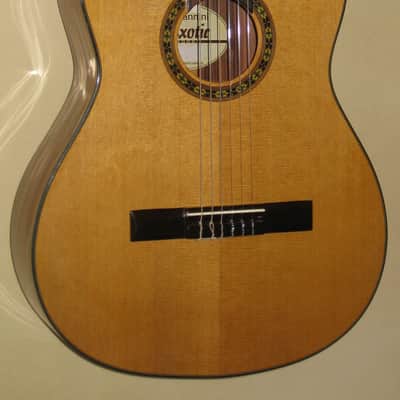 Giannini GWNEW 3 Exotic Series All Solid Wood Classical Guitar w/Hardshell Case image 2
