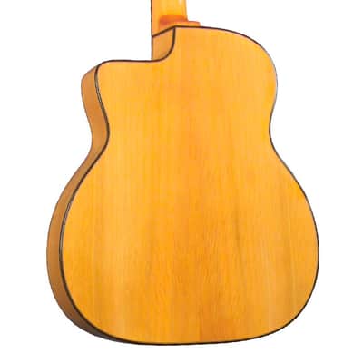 Gitane DG-560 Flamenco/Gypsy Jazz Profesional Nylon image 3