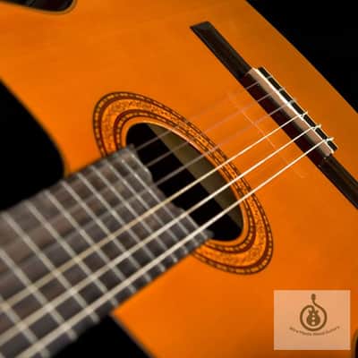 Washburn C5CE Classical Acoustic Electric Guitar Cutaway Nylon String image 5