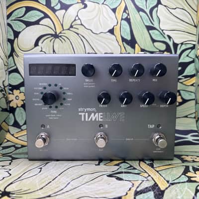 Strymon Timeline - Used image 2