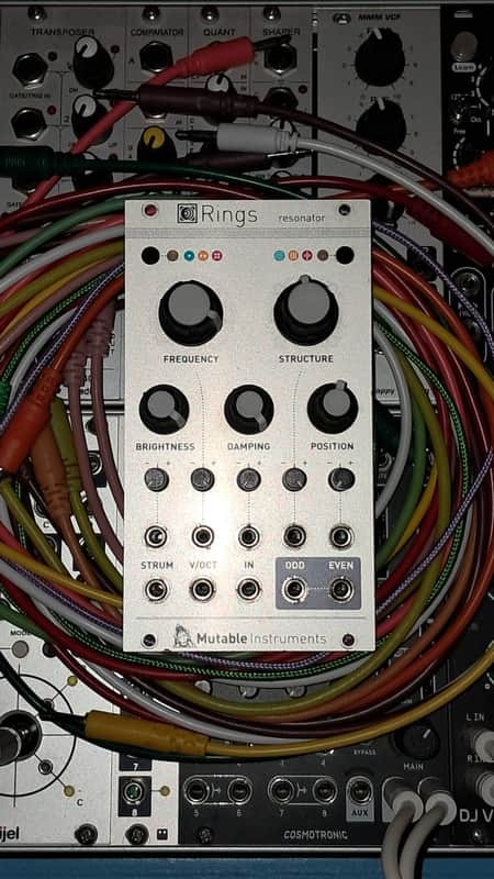 Mutable Instruments Rings