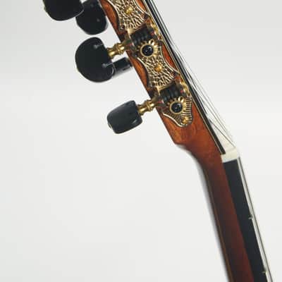 Cordoba C12 SP/RW image 11