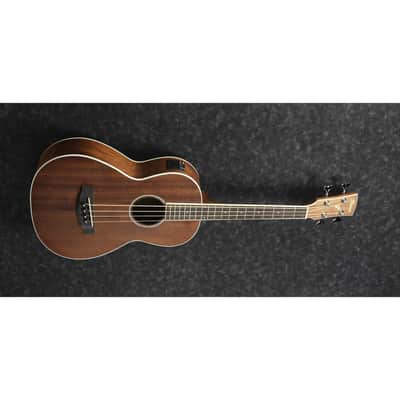 Ibanez PNB14E Performance Series Acoustic-Electric Bass - Open Pore Natural image 4