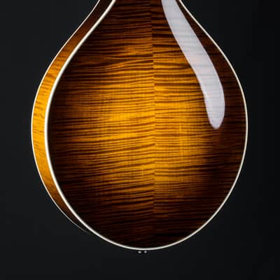 Collings MT2 Mandola Sunburst Adirondack Spruce and Flamed Maple NEW image 16