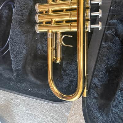 Trumpet with case and mouthpiece image 6