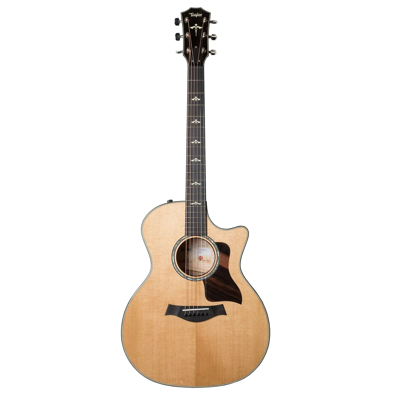 Taylor 614ce with V-Class Bracing | Reverb
