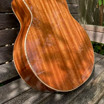 Beard Guitars A-Odyssey round neck resonator image 12
