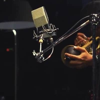 Cloud JRS-34 Passive Ribbon Microphone for Professional Vocal/Music Recording - USA Made image 6