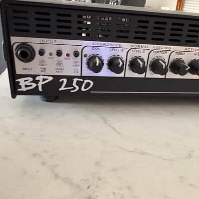Gallien-Krueger BP250 image 2