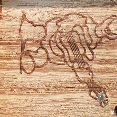 Warmoth Strat Custom 2015 - Tobacco Burst image 18