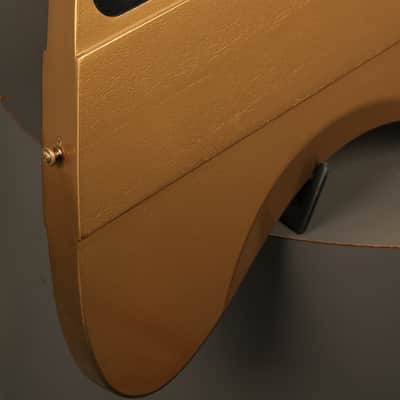 2013 Gibson 50th Anniversary Thunderbird Bass Bullion Gold image 14