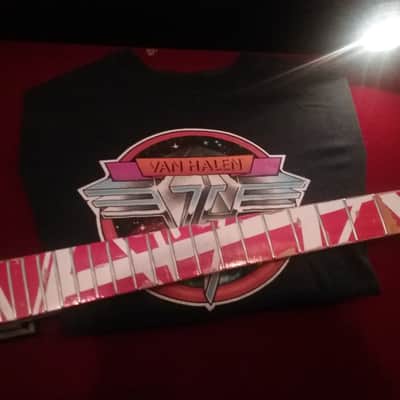 Custom SGM Van Halen Tribute Display w/ Kramer Neck , Vintage Tee + Autographed Magazine image 5