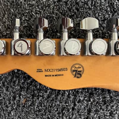 Telecaster Partscaster American Professional II Roasted Pine Body image 10