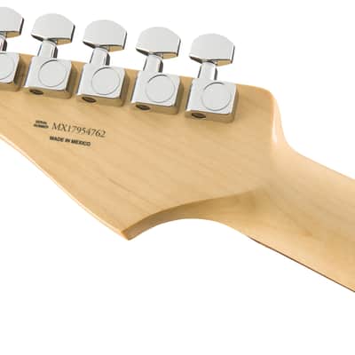 Fender : Player Stratocaster Plus Top PF TBS image 2
