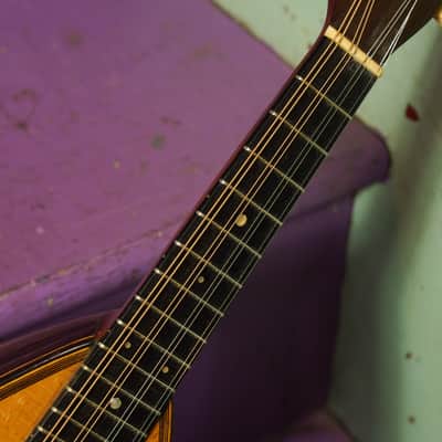 1930 Martin Style 3 Bowlback Mandolin (VIDEO! Fresh Work, Ready) image 4