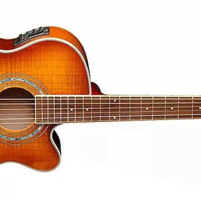 Washburn EA15ITB Mini Jumbo Cutaway Flame Maple Top Mahogany Neck 6-String Acoustic-Electric Guitar image 3