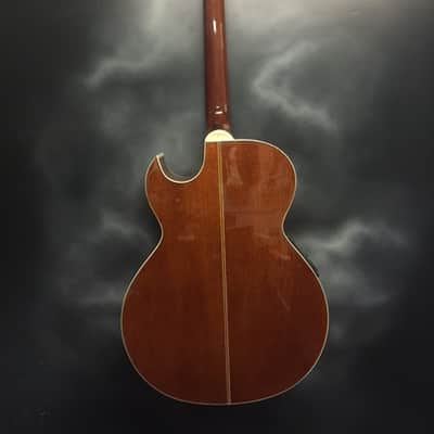 Washburn EA9F image 2