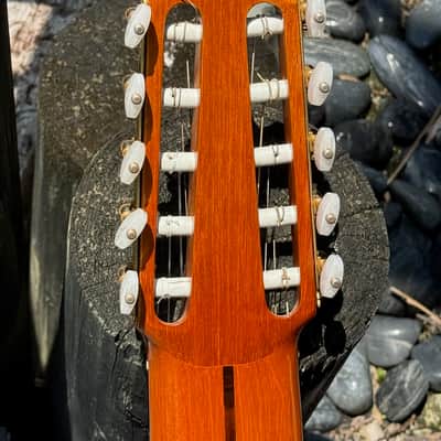 Batiste Bofi Concierto 10-String Classical 1984 - stunning 41 year old Indian Rosewood special order from Valencia Spain. image 8