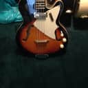 Harmony H-22 2 Color Sunburst