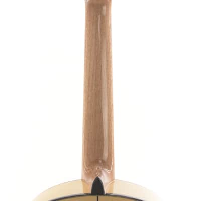 Alhambra GS Flamenco Guitar 2025 image 10