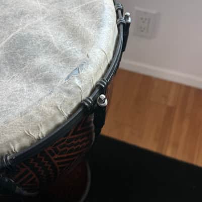 Remo Paulo Mattioli Signature Series Djembe imagen 6