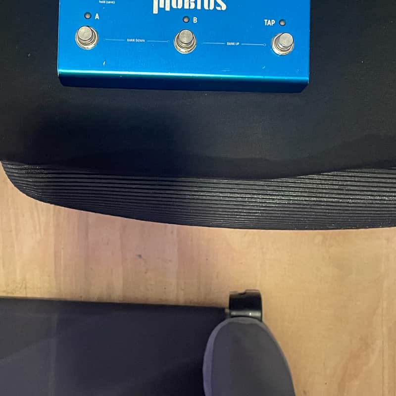 2012 – Present Strymon Mobius Blue