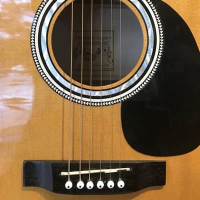 Esteban American Legacy AL-100 Acoustic image 8
