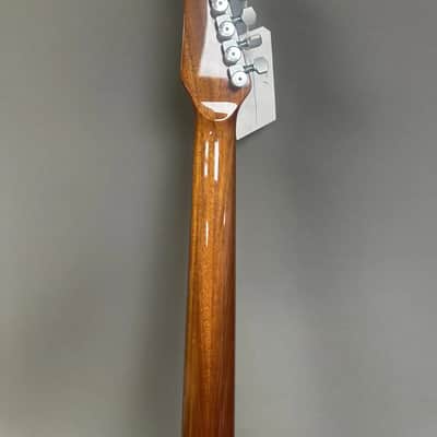 Carvin AE185 2001 image 9