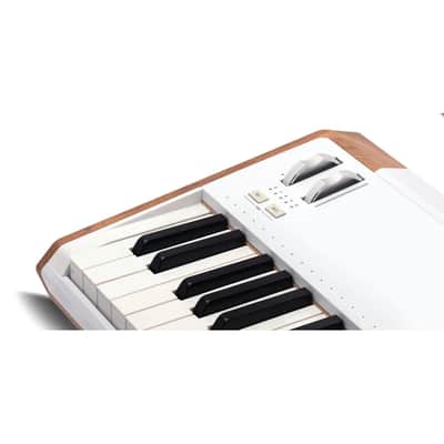 Arturia Astrolab 61-Key Stage Keyboard with 1300 Onboard Presets Bild 9