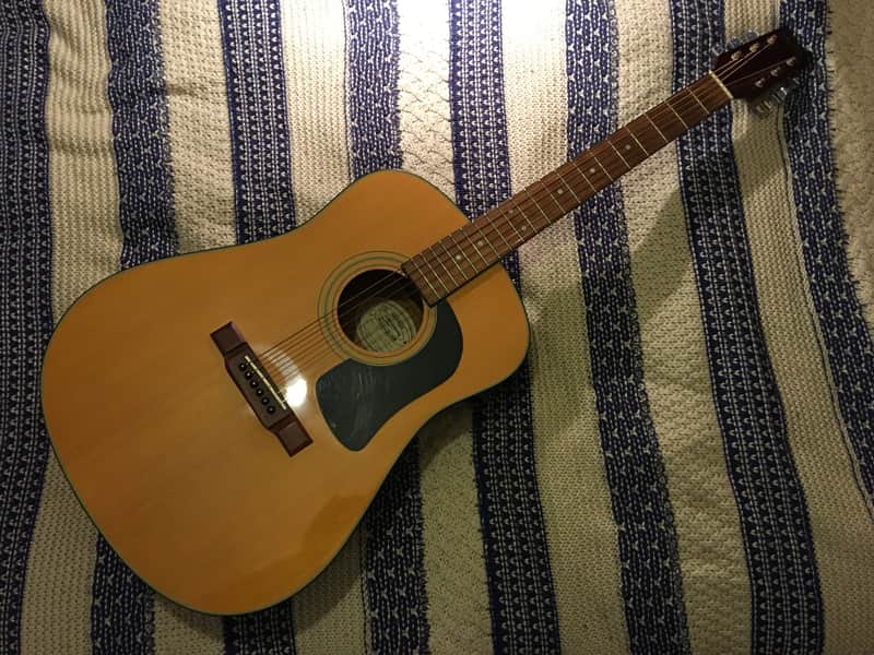 Washburn D10-N 1990 Natural image 1