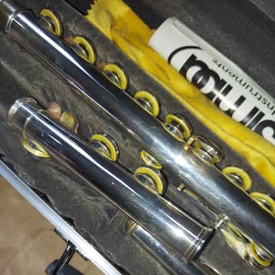 BOTH: Suzuki Musique Clarinet AND Flute, with cases, Very Good image 12