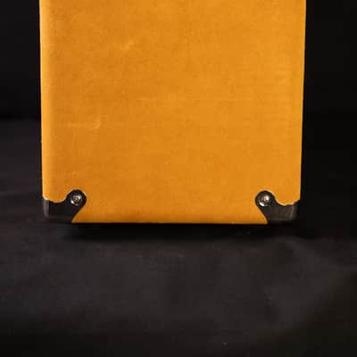 Amplified Nation Dirty Wonderland 2021 - Buckskin Suede 50 Watt image 6