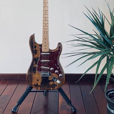 Fender Custom Shop Stratocaster Artisan - 2014 - Gloss Spalted Maple Top image 1