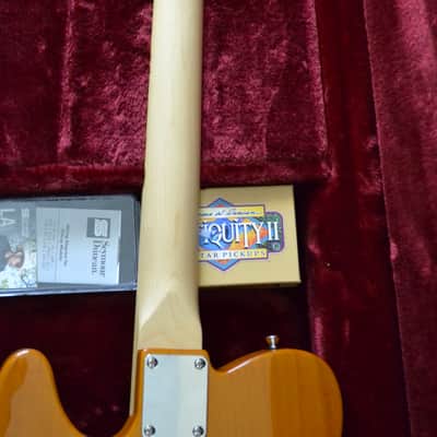 Custom Build Tele-Style SH - Phoenix Burst image 8