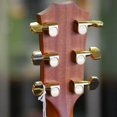 Taylor DN4 Left Handed 2009 Natural image 13