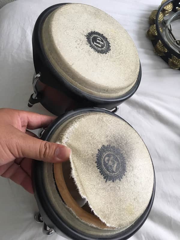 Latin Percussion LP601NY-DW City Series Wood Bongos image 1