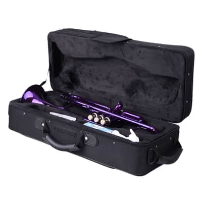 Cxxss Brass B Flat Trumpet Violet image 2