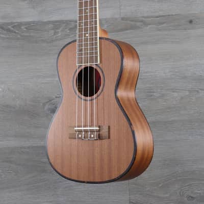 Amahi UK220C  Mahogany Concert Ukulele with Gig Bag image 4