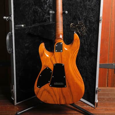 Patrick James Eggle 96 Drop Top Electric Guitar image 14