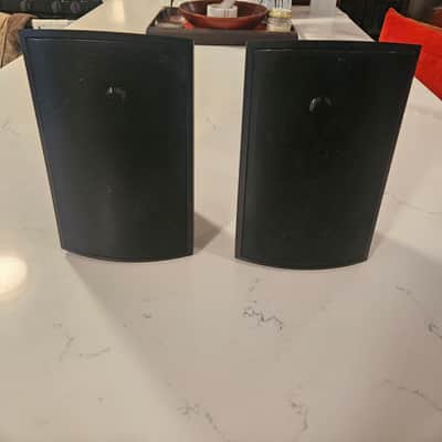 Definitive Technology AW-111 Outdoor Speakers. Passive All-weather Outdoor (Black, Pair), Two-Way, 5.25" Woofer, 1" Tweeter image 1