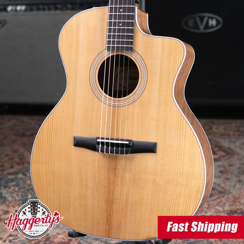Taylor 214ce-N Nylon Grand Auditorium Acoustic/Electric Guitar with Gig Bag image 1