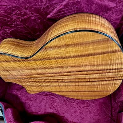Taylor Spring Limited Edition Grand Concert Acoustic-Electric Guitar 2010 - Natural image 17