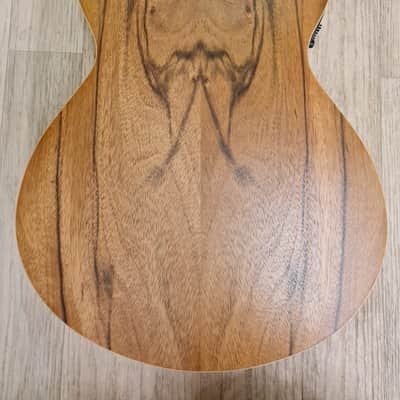 Tanglewood Discovery Exotic DBT SFCE PW image 4