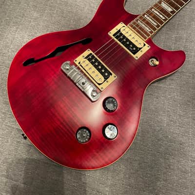 Indie  Semi Hollow image 9