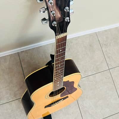 Ibanez SGT120 Sage Acoustic Guitar image 3