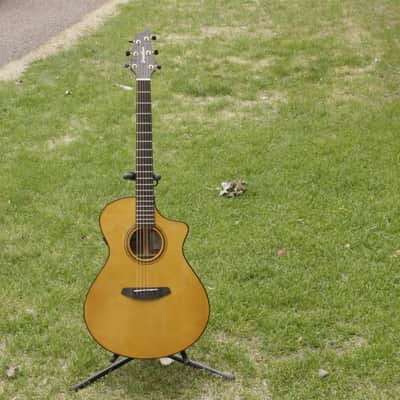 Aria Pro II PW35 